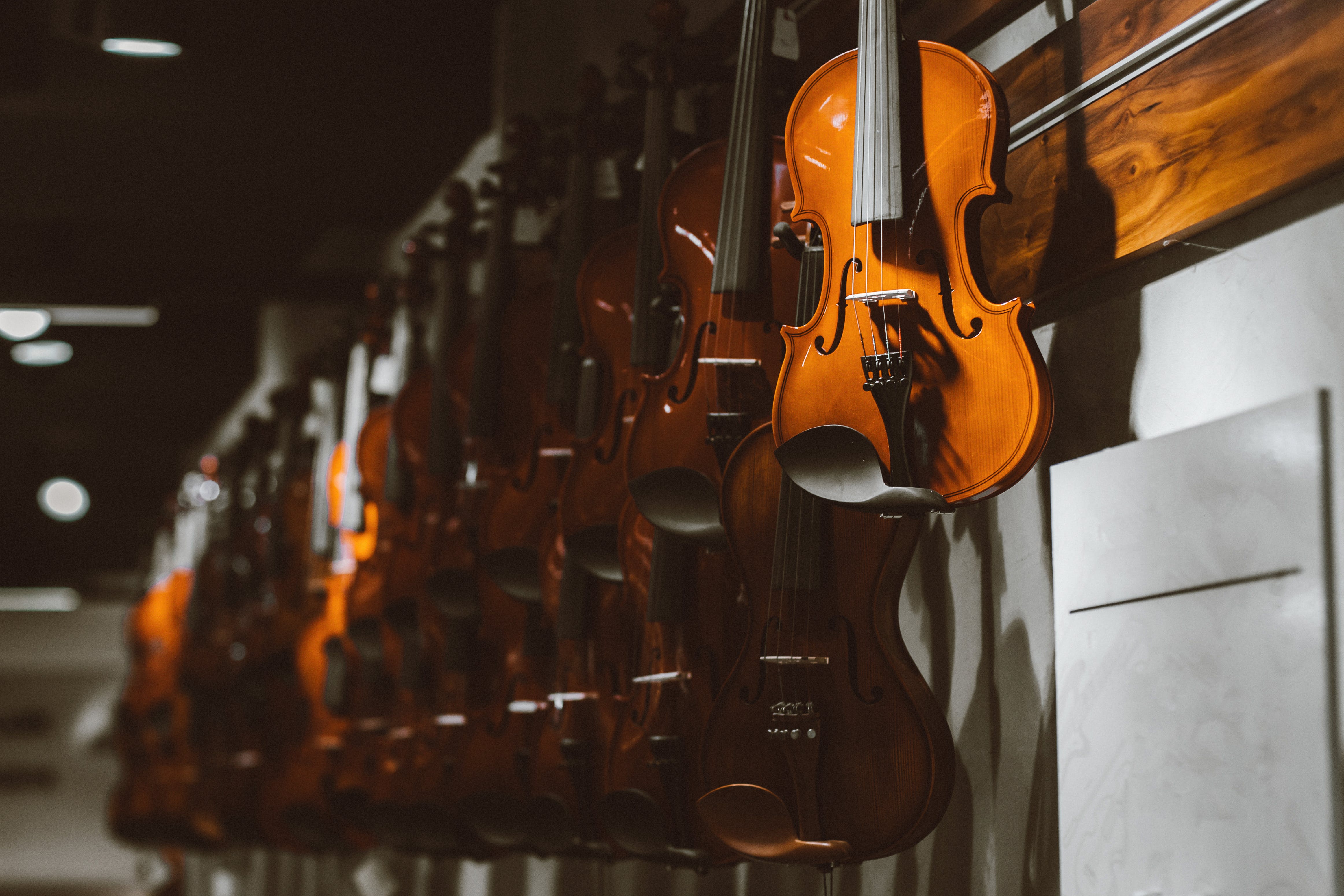 Violine za glasbeni team building program